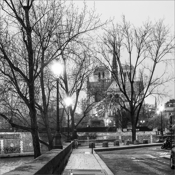 Lire la suite à propos de l’article Paris Photo Tours