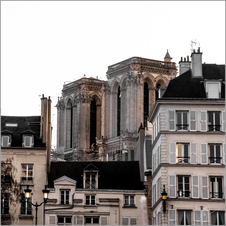 Lire la suite à propos de l’article Notre Dame de Paris