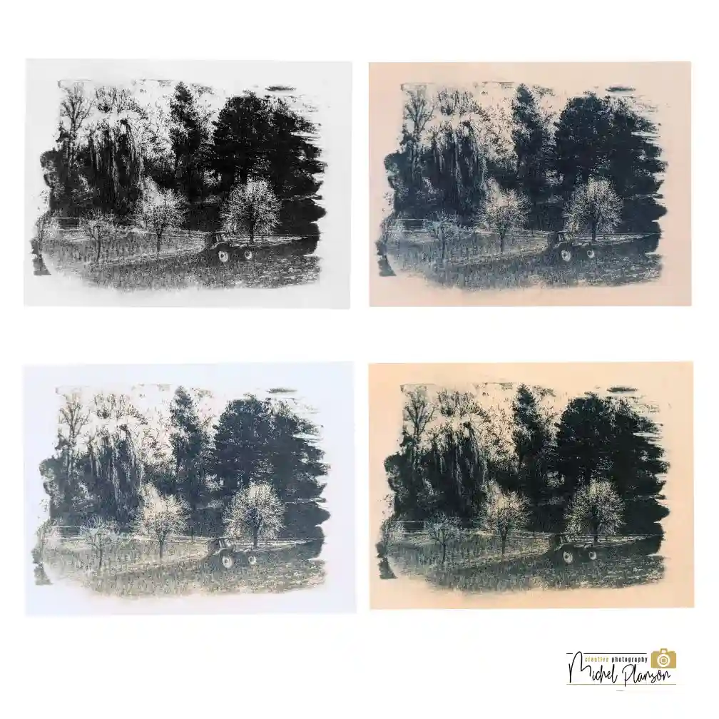Read more about the article Cyanotype print