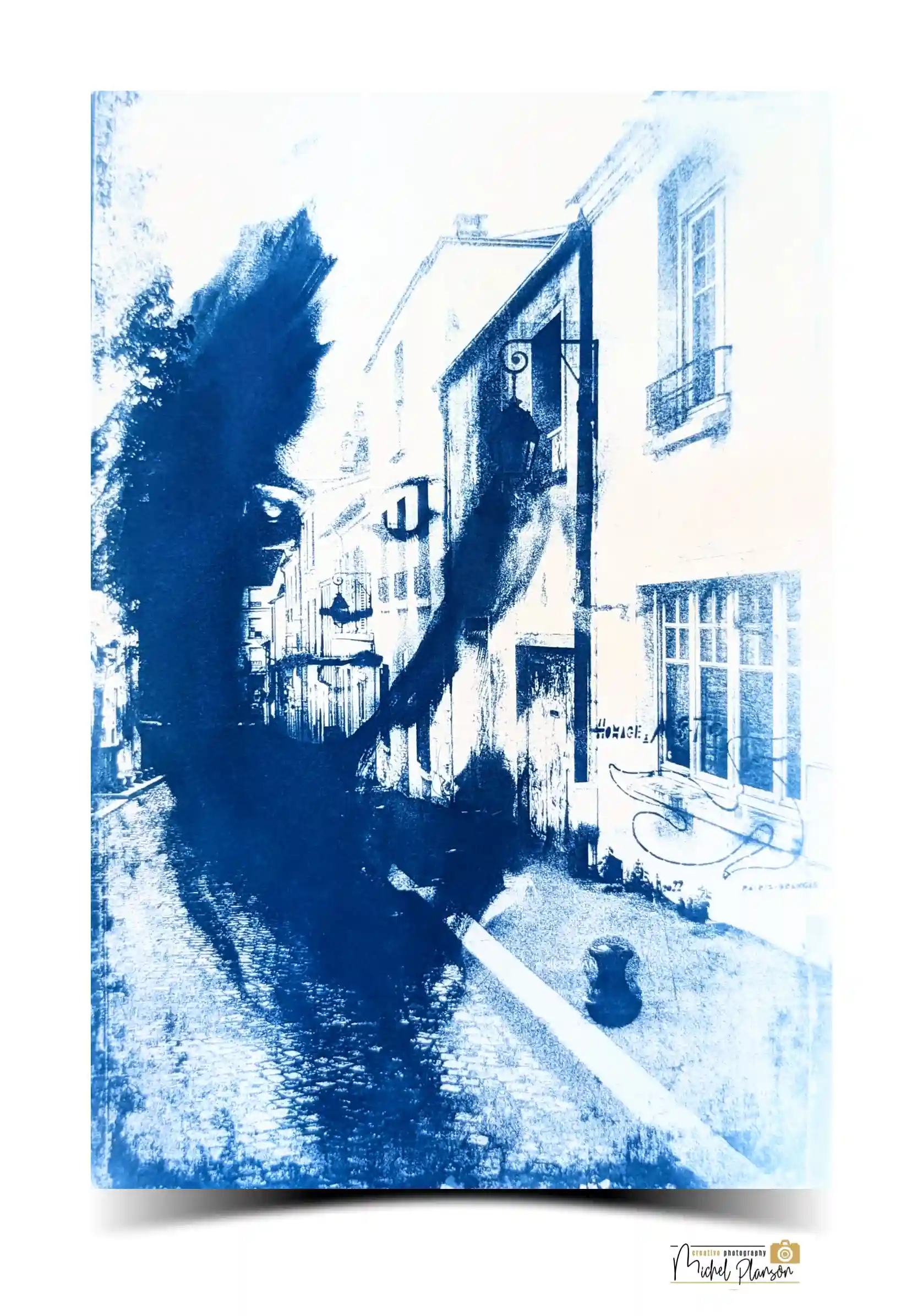 Lire la suite à propos de l’article Cyanotype